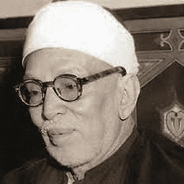 محمد الخضر حسين