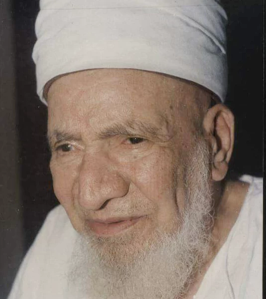 محمد خليل الخطيب