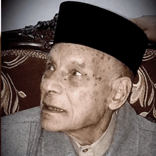 محمود أحمد شوق