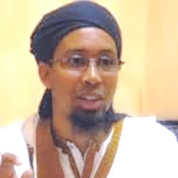 محمد بن محمد سالم المجلسي الشنقيطي